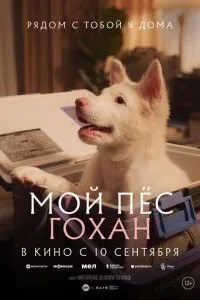 Мой пёс Гохан